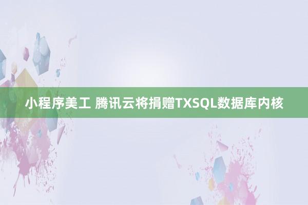 小程序美工 腾讯云将捐赠TXSQL数据库内核