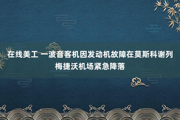 在线美工 一波音客机因发动机故障在莫斯科谢列梅捷沃机场紧急降落