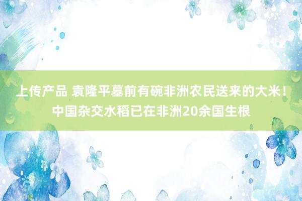 上传产品 袁隆平墓前有碗非洲农民送来的大米！中国杂交水稻已在非洲20余国生根