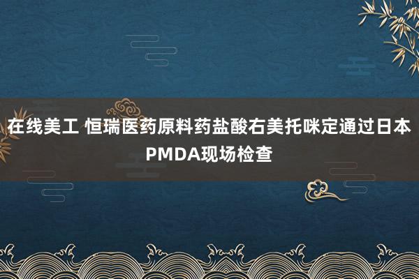 在线美工 恒瑞医药原料药盐酸右美托咪定通过日本PMDA现场检查