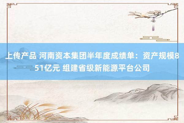 上传产品 河南资本集团半年度成绩单：资产规模851亿元 组建省级新能源平台公司