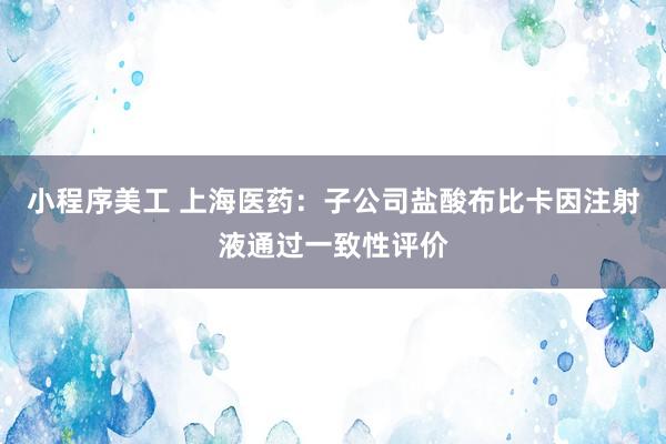 小程序美工 上海医药：子公司盐酸布比卡因注射液通过一致性评价